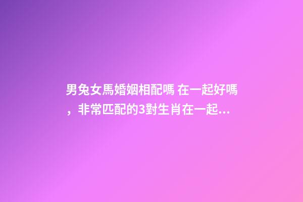 男兔女馬婚姻相配嗎 在一起好嗎，非常匹配的3對生肖在一起恩愛有加-第1張-觀點-玄機派